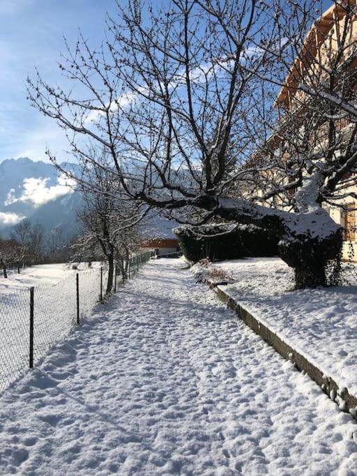 Appartement Rez De Jardin Montee De L'Alpe D'Huez 拉加尔德 外观 照片